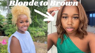 Dying Natural Hair from Blonde to Brown Hair  New Start [upl. by Gilmour]