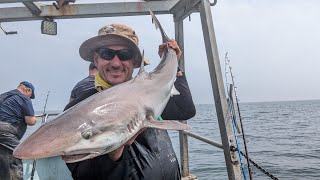 TOPE ON  Boat fishing on Julie Anne charters Amlwch Anglesey [upl. by Yenot]