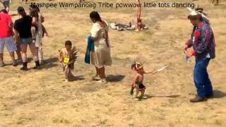 Mashpee Wampanoag Tribe powwow little tots dancing 2016 [upl. by Hallagan]