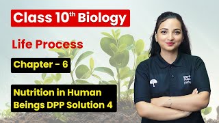 Nutrition in human beings  DPP Solution 4  Class 10 Biology Chapter 6 [upl. by Edmondo]