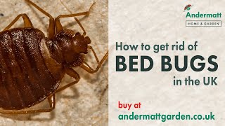 How to get rid of Bed Bugs in the UK [upl. by Hound]