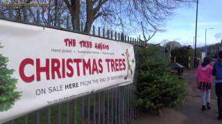 Real Christmas Trees For Sale Endcliffe Park Sheffield [upl. by Daren]