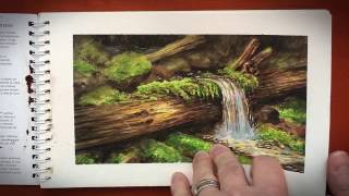 PleinAir Gouache Paintings  Summer 2016 [upl. by Ahsyle]