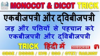 MONOCOT amp DICOT एकबीजपत्री और द्विबीजपत्री TRICK [upl. by Kazim]