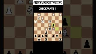 Checkmate  Best gameplay with 2 rooks 🔥 shorts chess agadmator magnuscarlsen [upl. by Marduk817]