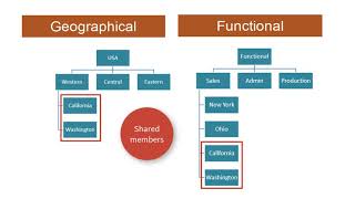 Configuring Alternate Hierarchies for Entities in Financial Consolidation and Close [upl. by Idhem379]