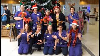 Haematology Christmas video [upl. by Hedda]