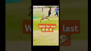 Monkey kick 🤣🤣 funnyshorts viraltiktok majedaarvideo [upl. by Brittany452]