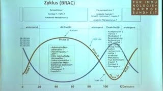 Vitamin D  Darmgesundheit und nicht nur zur Knochengesundheit  mit Antje Rössler [upl. by Quickel948]