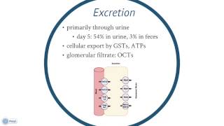 Oxaliplatin Toxicology Presentation  Samantha Kinley [upl. by Odlavu]