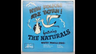 POLISH LP recordings in the US 1960s AMPOL 5002 New Polkas Are Born The Naturals lemkovladek [upl. by Ainorev]