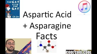 Some Quick Facts About Aspartic Acid and Asparagine [upl. by Tammie807]