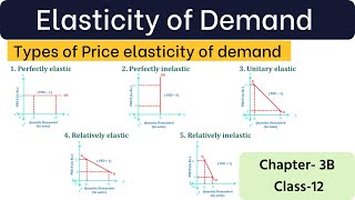 Types of price elasticity of demand Economic class 12 [upl. by Anoyk]