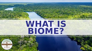 WHAT IS A BIOME  Enviromental Science  CATEGORIES OF BIOMES [upl. by Yarod382]