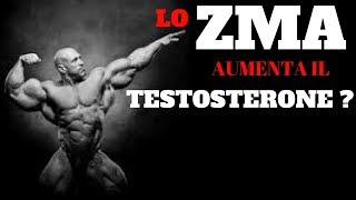 ZMA Integratore E Il Miglior Testosterone Booster  Utile Per Gli Sportivi  Zinco e Magnesio [upl. by Eiknarf]