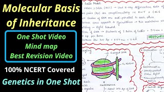 Molecular Basis of Inheritance Class 12 Mind map NEET Genetics Best Revision video neet2022 neet [upl. by Shirah]