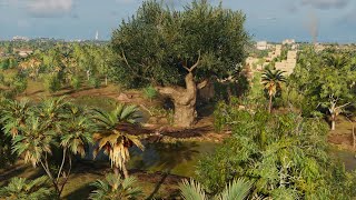 Royal Flora  Assassins Creed Origins  Papyri Puzzle [upl. by Melantha587]