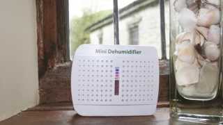 Cordless and Reusable Compact Dehumidifier [upl. by Maidie123]