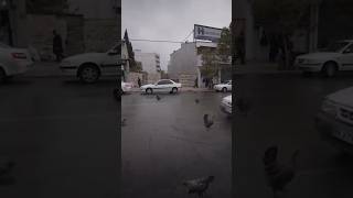 🐓Murgiyon ki barish 🐔foryou comedy🤣 funnymemes🥴 youtubeshorts [upl. by Lou]