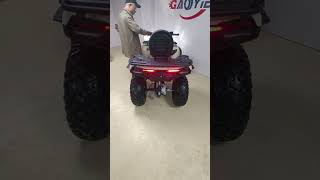 300cc new model 2024 big 42 off road atv quad for adult [upl. by Notnats]