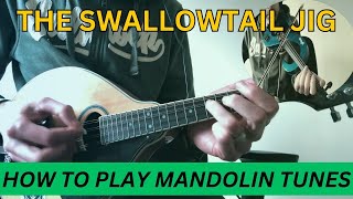 The Swallowtail Jig  Irish Mandolin Lesson with easy fiddle accompaniment [upl. by Halian]