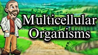 Understanding Multicellular Organisms [upl. by Swen247]