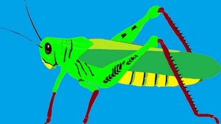 Sonido del saltamontes  Sound of the Grasshopper [upl. by Vogele]