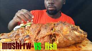 mushirw vs fish [upl. by Aihsemaj]