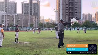 u10 mini baseball [upl. by Iloj]