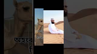 🕋🤲❤️ইসলামিকভিডিও 🕋🤲❤️mosharof automobile duet 🕋🤲❤️🕋🕋🕋🕋🕋🤲❤️🕋🕋🕋🕋🕋 [upl. by Eseerehc]