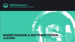 Nader Razdar amp Matthew Codek  Alegria [upl. by Annemarie]