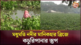 মধুমতিতে কচুরিপানা গোপালগঞ্জের সঙ্গে ৫ জেলার নৌ চলাচল বন্ধ  Gopalganj News  Channel 24 [upl. by Tandie]