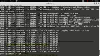 Snmp Server Agent Configuration And retrive data over snmp part1 [upl. by Elolcin]