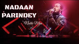 NADAAN PARINDEY  Noble song  Noble star [upl. by Ettigirb644]