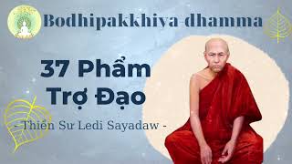 Chương 1  37 Phẩm Trợ Đạo  7 Nhóm Yếu Tố Tạo Nên Sự Giác Ngộ Bodhipakkhiyadhamma [upl. by Ahsenrat]