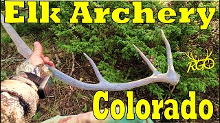 Colorado Archery Elk Opener 2024  RGO 451 [upl. by Hallerson880]