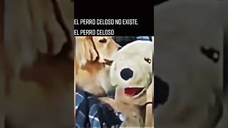 Perro celoso [upl. by Nalyd]