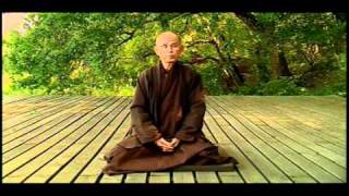 Thich Nhat Hanh about Freedom [upl. by Chu]