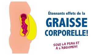 DÉTONNANTS effets de la graisse corporelle à connaître sous la peau ou à labdomen [upl. by Baecher]