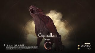 Grimalkin Notorious Mark Fight Final Fantasy Mode No Damage NG  Final Fantasy XVI [upl. by Flemings]