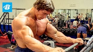 How To Train For Mass  Arnold Schwarzeneggers Blueprint Training Program [upl. by Origra158]