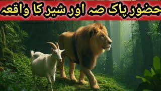 Nabi e Kraim aur Jungle Ka Sher  Jungle ka sher Ka Waqia  sunlight Urdu stories [upl. by Ahsima217]