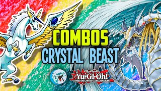 ✅📈COMBOS CRYSTAL BEAST  YUGIOH 2024 [upl. by Haletta]