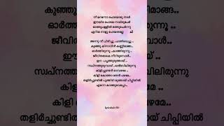 Onnamkili ❤️✨❤️malayalamlyrics moviesong malayalmsongs shortsvideo trending lyrics mohanlal [upl. by Hammad]