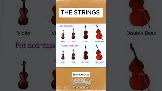 The Classical Strings violin viola cello bass [upl. by Anadroj]