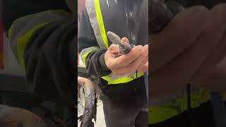 Professionally plastic welding repair skills autobodywork repairing plasticsurgery burlington [upl. by Ribaudo]