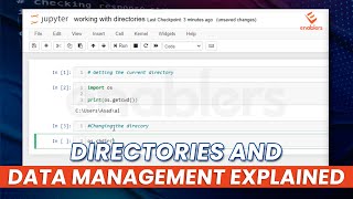 Master AI with Python Directories and Data Management Explained [upl. by Randal94]