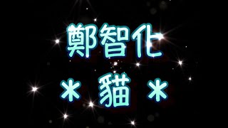 鄭智化 貓（中文字幕）高音質（國語歌曲）氛圍版 [upl. by Cianca928]