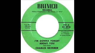 Charles Brimmer  Im Gonna Forget About You [upl. by Ainezey]