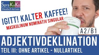 Adjektivdeklination ohne Artikel  Deutsch lernen mit Sprakuko B1 [upl. by Farnham]